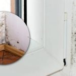 Черният мухъл ще изчезне за минути: тайното "оръжие", което се