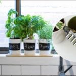 Как да разберете, че сте преполовили цветето: основни признаци и