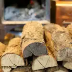 Кои дърва за огрев не трябва да се изгарят у дома: тези видове няма да ви стоплят и ще унищожат здравето ви koi-darva-za-ogrev-ne-tryabva-da-se-izgaryat-u.webp.webp