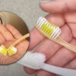 Не бързайте да я изхвърляте: какво можете да направите от стара четка за зъби Не бързайте да я изхвърляте: какво можете да направите от