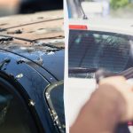 Птиците вече не се качват на автомобилите: ето какво трябва