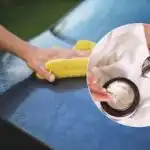 Резултатът ще ви изненада: шофьорите са призовани да втрият маска за коса в колата си Резултатът ще ви изненада: шофьорите са призовани да втрият маска