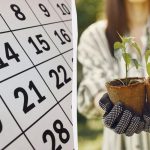 Точен лунен календар за сеитба през март 2026 г.: какво да засадим за разсад Точен лунен календар за сеитба през март 2026 г.: какво