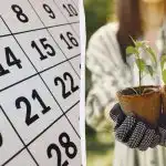 Точен лунен календар за сеитба през март 2026 г.: какво да засадим за разсад Точен лунен календар за сеитба през март 2026 г.: какво