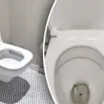 Водопроводчик разкрива гениален трик: как да премахнете микробите в тоалетната
