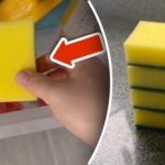 Защо да сложите гъба във фризера: един прост трик ще премахне огромен проблем Защо да сложите гъба във фризера: един прост трик ще