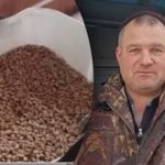 Защо кокошките не снасят яйца през зимата: пет фактора, които