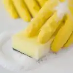 3 капки върху гъба - и в микровълновата печка: старата мазнина ще изчезне от само себе си, микровълновата фурна ще заблести 3-kapki-varhu-gaba-i-v-mikrovalnovata-pechka-starata.jpg