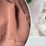 Без нужда от валяк: как да премахнете вълната от дрехите