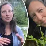 Как американците се борят с колорадския бръмбар: без отрови и