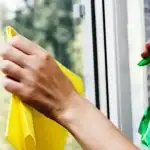kak-da-pochistvate-prozortsite-bez-himikali-za-da-nyamate-ivitsi.webp.webp