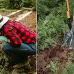 Как да разберете, че почвата в градината ви "умира": пет