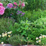 Как да се отървем завинаги от тревата в цветната леха: експертите са изброили всички начини kak-da-se-otarvem-zavinagi-ot-trevata-v-tsvetnata-leha.webp.webp