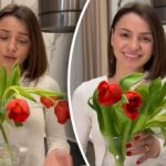 Как да спасим увехнали лалета за 5 минути - изпитан лайфхак Как да спасим увехнали лалета за 5 минути - изпитан