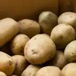 Кога да извадим картофите от мазето за засаждане: народен календар и съвети за градинари Кога да извадим картофите от мазето за засаждане: народен календар