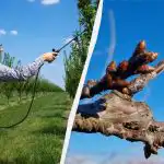 Не е нужно да се притеснявате за вредителите до края на сезона: с какво да напръскате дърветата си сега Не е нужно да се притеснявате за вредителите до края