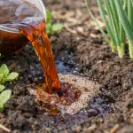 Пет причини да залеете лехите си с лучени люспи тази пролет pet-prichini-da-zaleete-lehite-si-s-lucheni-lyuspi-tazi.png