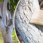 Сигурно няма да се отмие: какво да добавим към варта