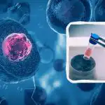 Терапия със стволови клетки: първата държава в света, която разрешава