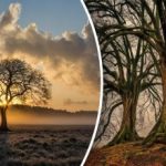 Време е да го отрежем или не: как да разберем