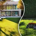 Един обикновен продукт от кухнята ще направи моравата ви перфектна: