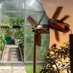 Едно устройство срещу скорци и къртици: просто решение за вашия