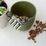 Експерти развенчаха популярен мит: камъните на дъното на саксията могат