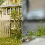 Как да поливаме плевелите покрай оградата: те изчезват на следващия