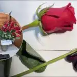 Как да "съживим" рози за четири часа: трик, който знаят