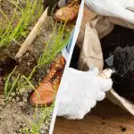 Мухата няма да седне върху вашия лук: с какво да