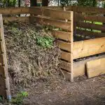 Не можете да изгаряте стари листа - по-добре е да