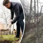 Тайните на опитните градинари: какво да правим през пролетта за плодородна почва Тайните на опитните градинари: какво да правим през пролетта за