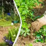 Това прави плевенето на лехите два пъти по-лесно и бързо: