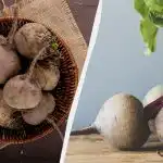 Това цвекло е по-добро от всички съвременни хибриди: фермерът назовава най-сладкия сорт Това цвекло е по-добро от всички съвременни хибриди: фермерът назовава