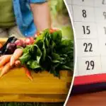 За да расте всичко: "златни" дати за засаждане през май